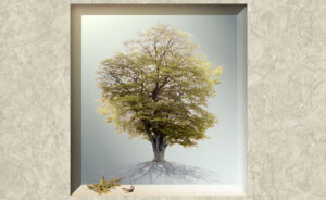 Read more about the article Osiedle w drzewach